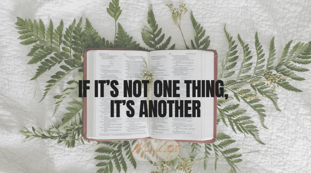 If It’s Not One Thing, It’s&nbsp;Another